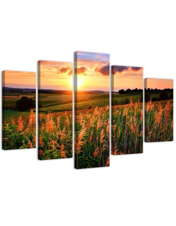 Canvas print Sunset Flowers...