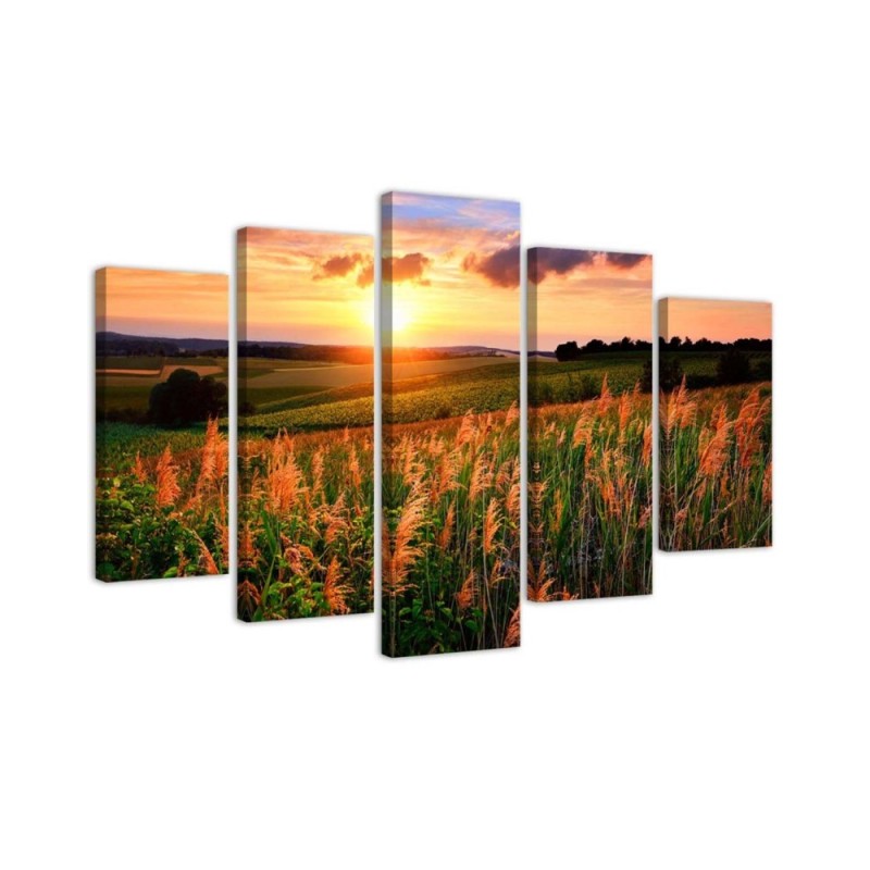 Sunset over the meadow wall art painting for living room | FEEBY