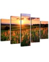 Sunset over the meadow wall art painting for living room | FEEBY