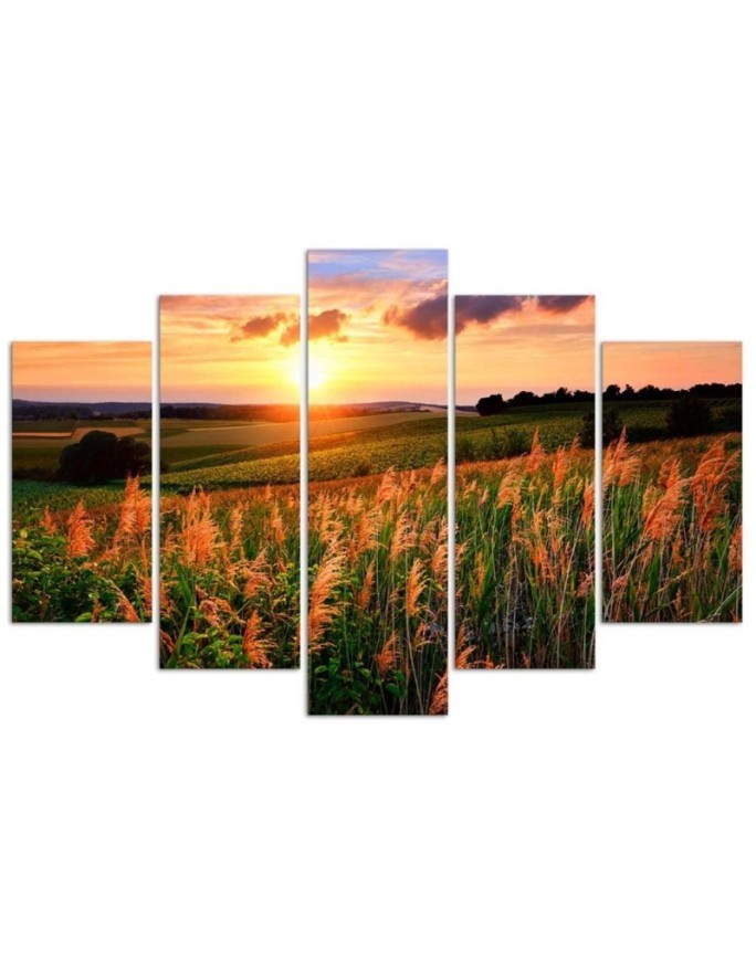 Sunset over the meadow wall art painting for living room | FEEBY