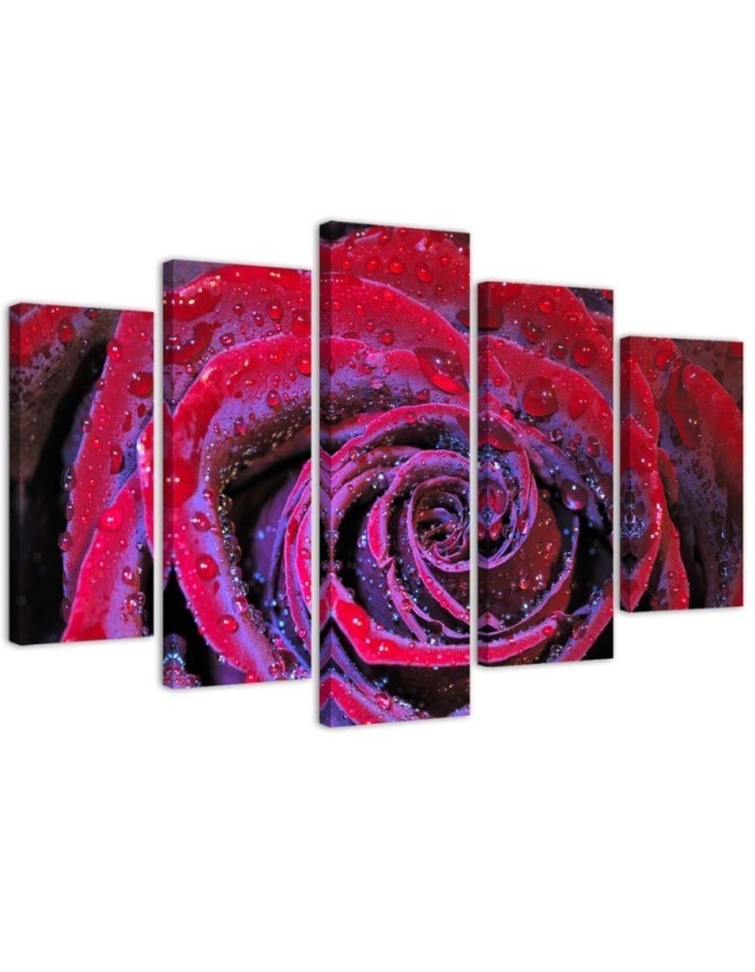 Printed painting for wall Red rose with dewdrops | FEEBY