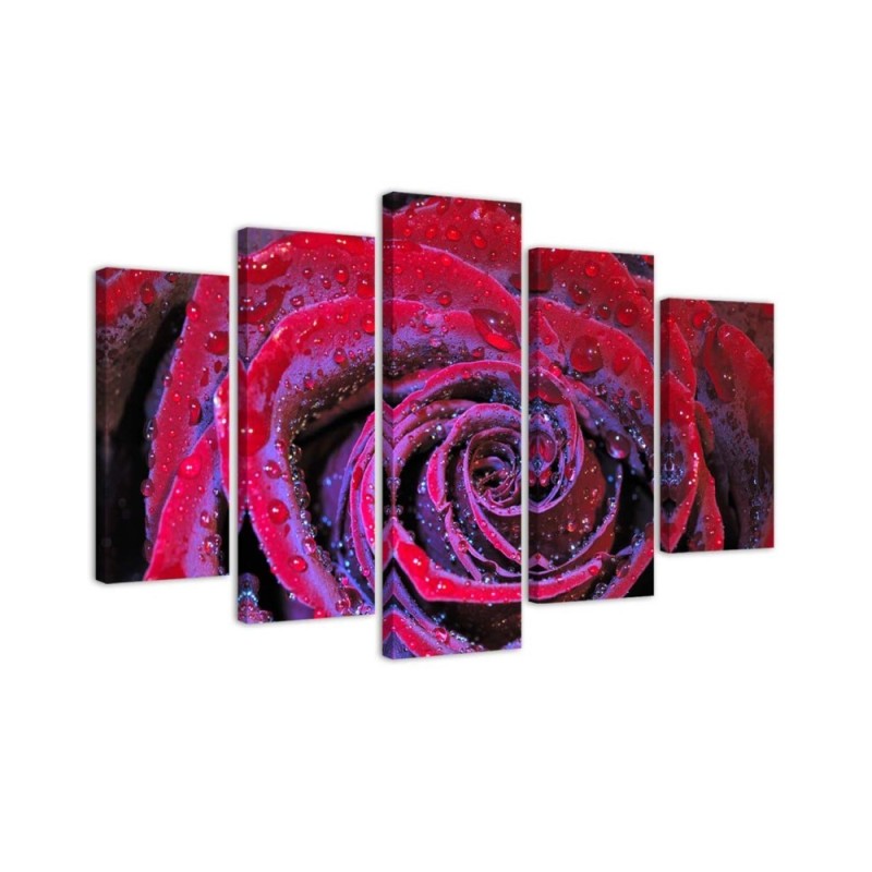 Printed painting for wall Red rose with dewdrops | FEEBY