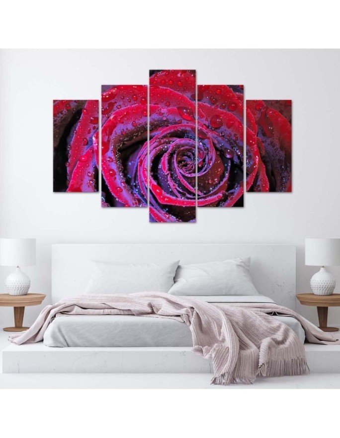 Printed painting for wall Red rose with dewdrops | FEEBY
