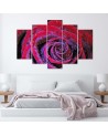 Printed painting for wall Red rose with dewdrops | FEEBY