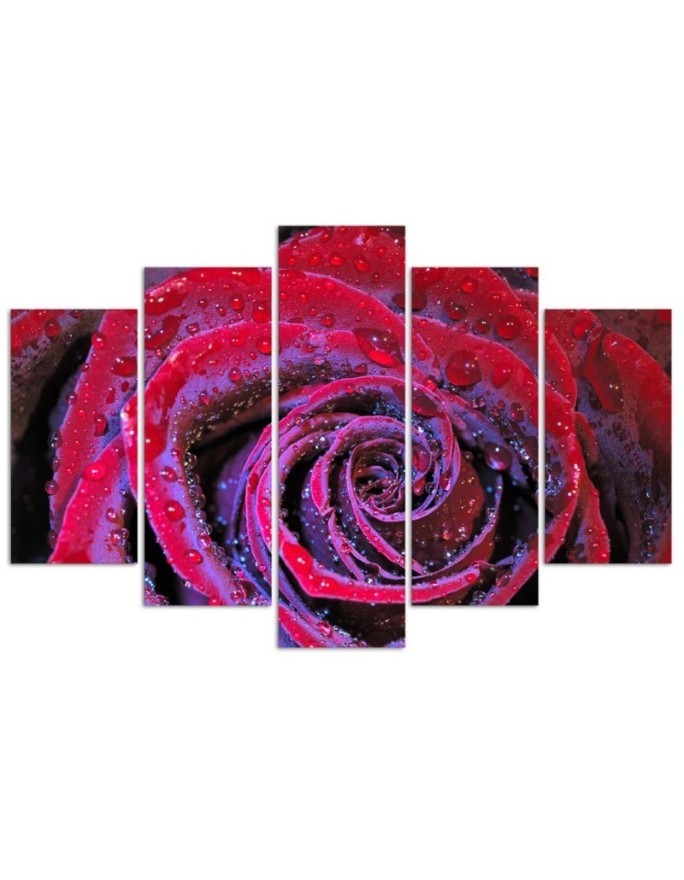 Printed painting for wall Red rose with dewdrops | FEEBY