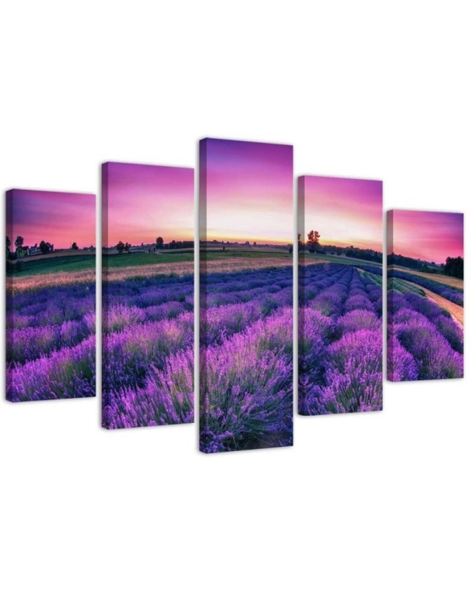 Lavender field canvas 5 piece wall painting for living room | FEEBY