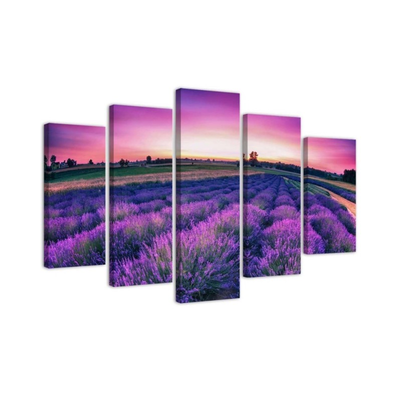 Lavender field canvas 5 piece wall painting for living room | FEEBY