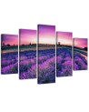 Lavender field canvas 5 piece wall painting for living room | FEEBY