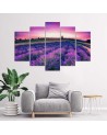 Lavender field canvas 5 piece wall painting for living room | FEEBY