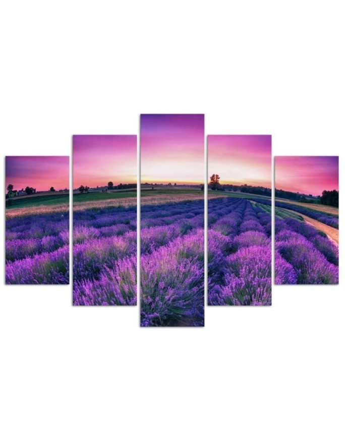 Lavender field canvas 5 piece wall painting for living room | FEEBY
