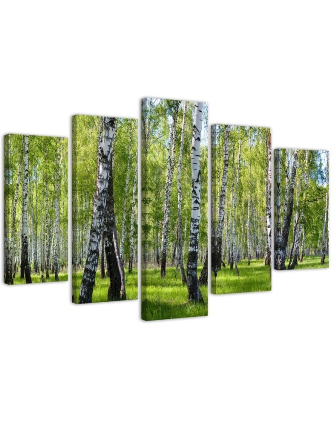 Canvas painting for living room birch forest | FEEBY