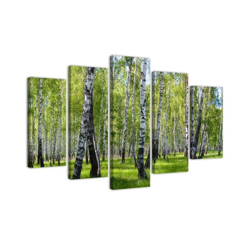 Canvas painting for living room birch forest | FEEBY