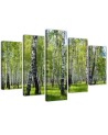 Canvas painting for living room birch forest | FEEBY