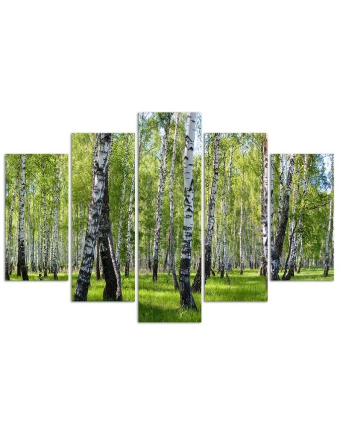 Canvas painting for living room birch forest | FEEBY