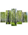 Canvas painting for living room birch forest | FEEBY