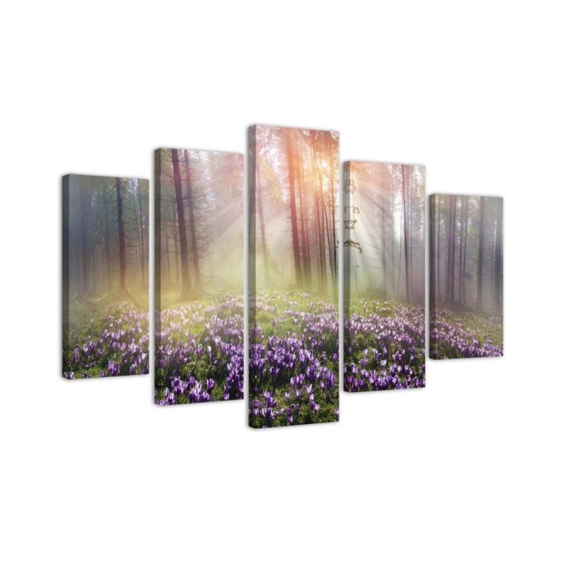 Bedroom picture Crocuses on a glade | FEEBY
