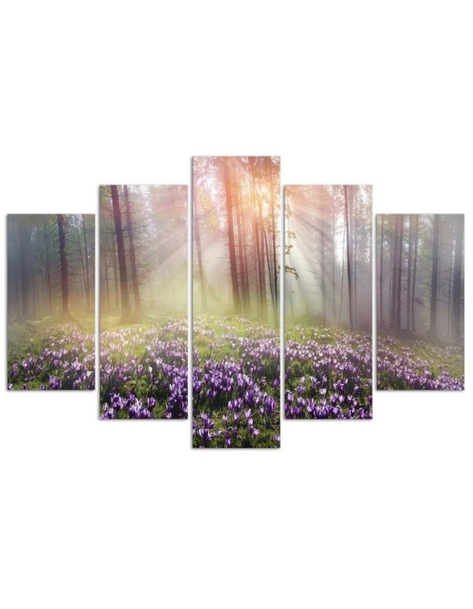 Bedroom picture Crocuses on a glade | FEEBY