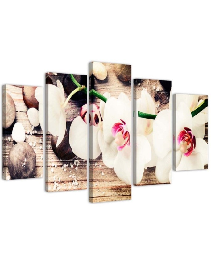 5 Piece White orchid and stones canvas paintings for living room | FEEBY
