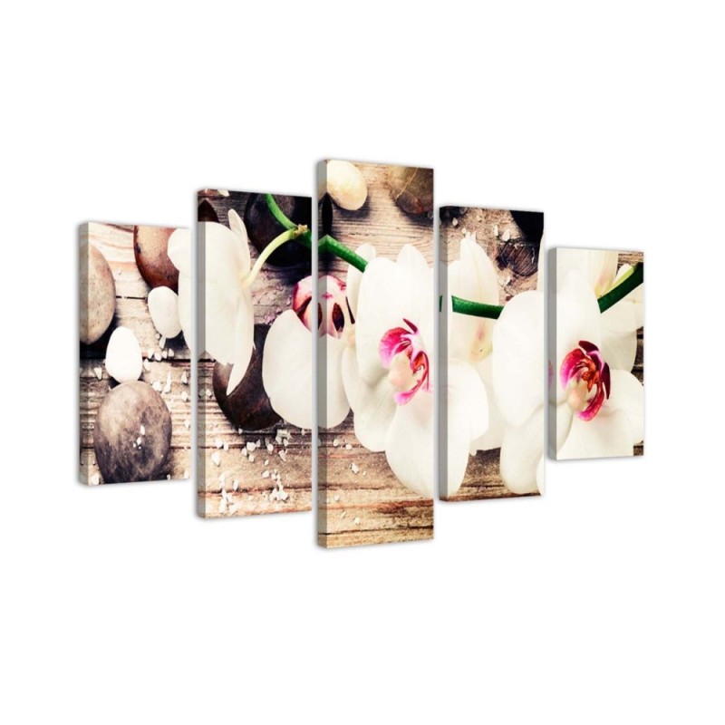 5 Piece White orchid and stones canvas paintings for living room | FEEBY