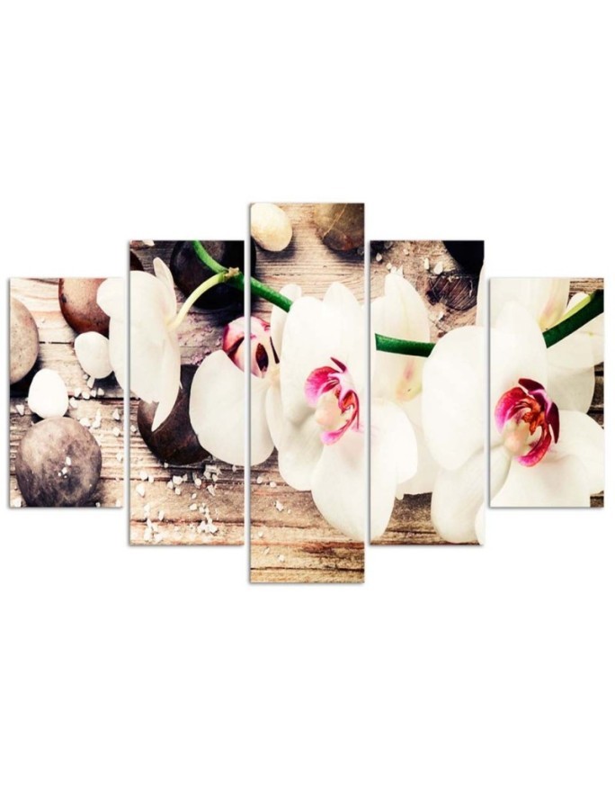 5 Piece White orchid and stones canvas paintings for living room | FEEBY