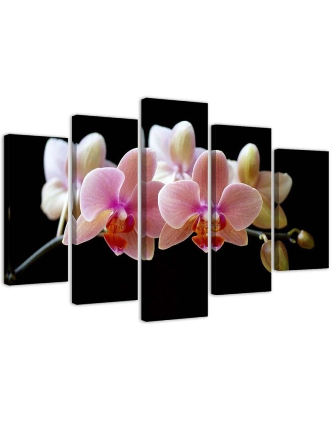 Pink orchid - wall art painting for the hallway | FEEBY