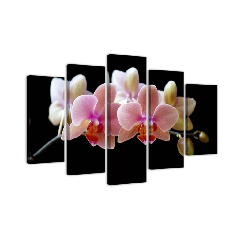 Pink orchid - wall art painting for the hallway | FEEBY