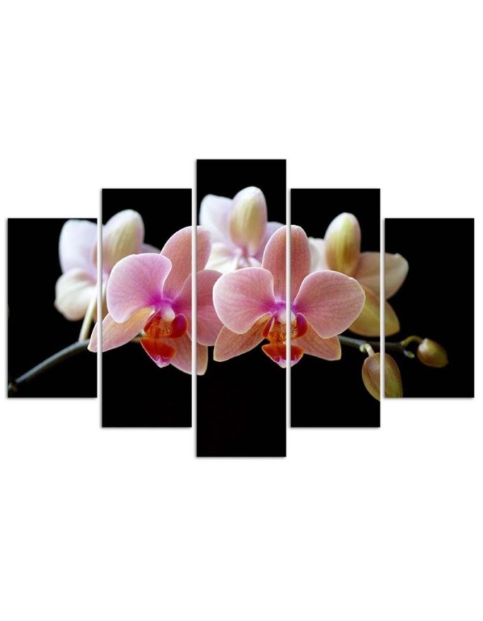 Pink orchid - wall art painting for the hallway | FEEBY