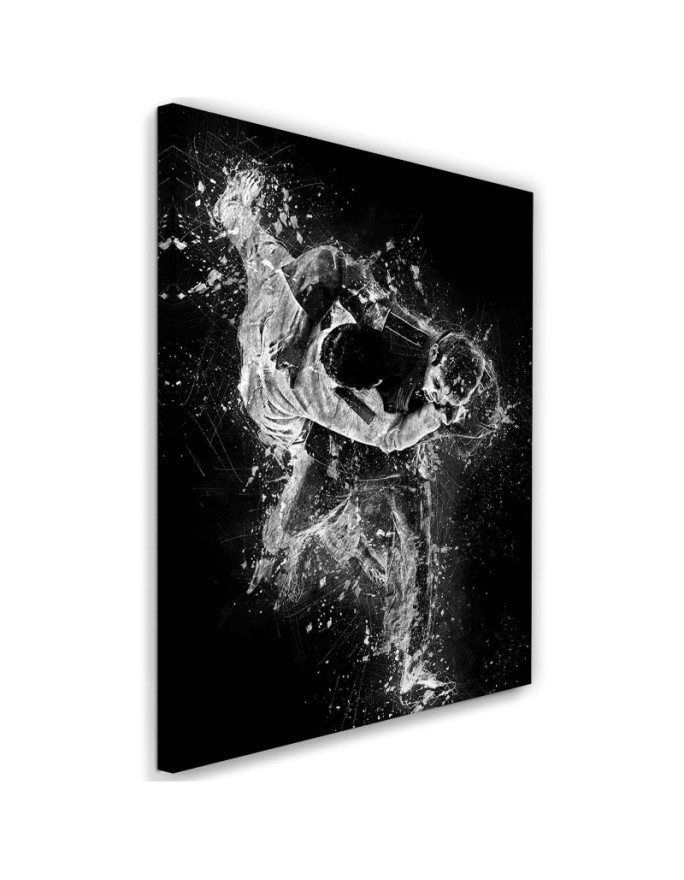 Judo Cornel Vlad canvas painting for teenager's room | FEEBY