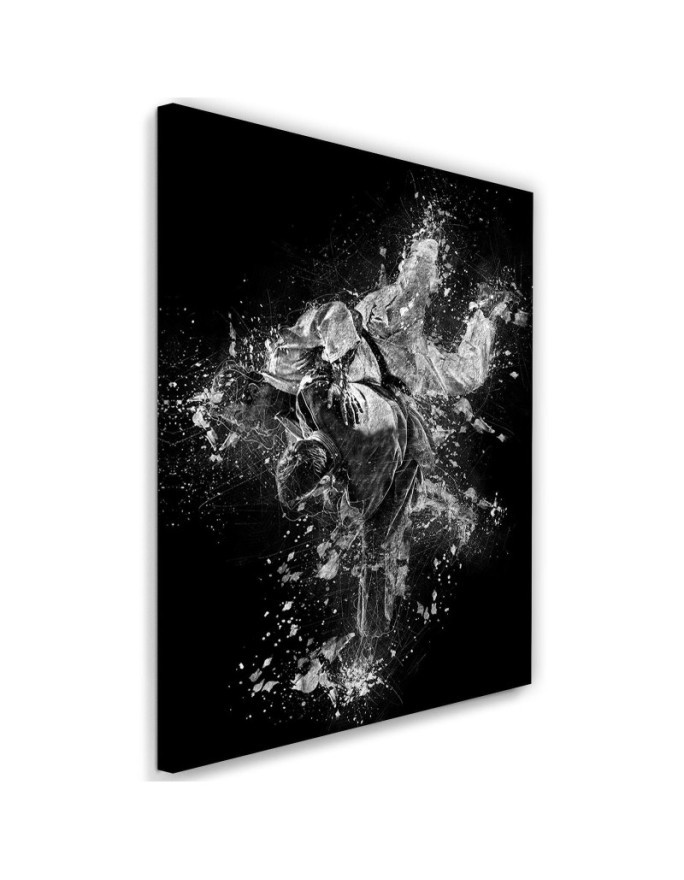 Judo youth pictures on Canvas for wall | FEEBY
