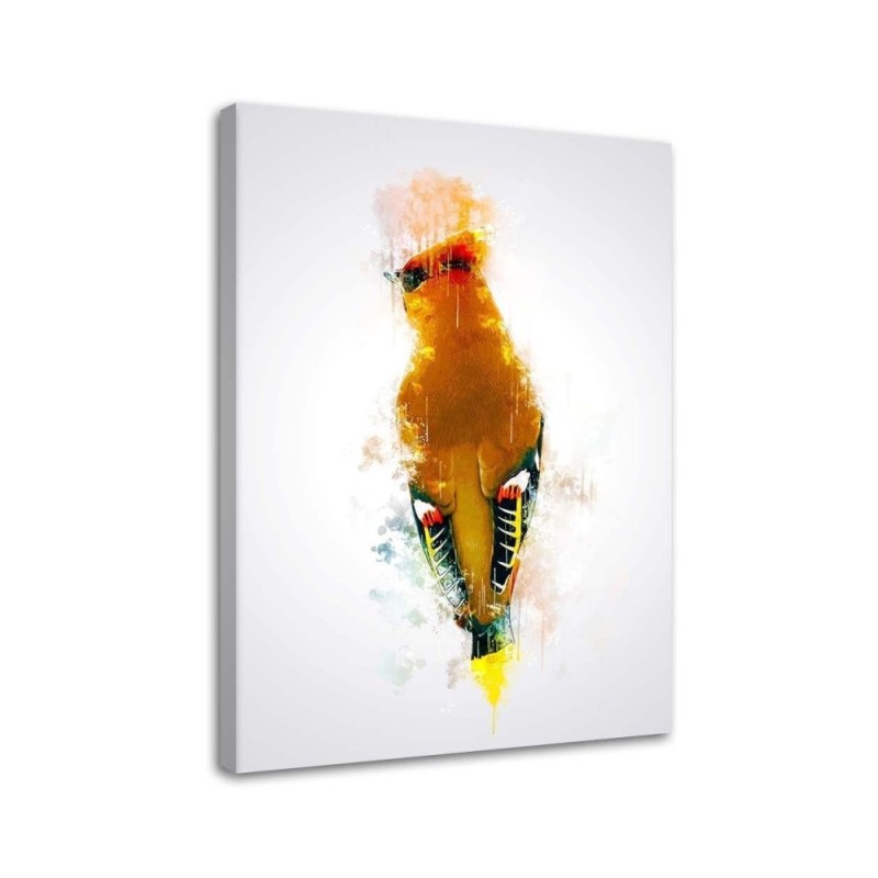 Canvas prints for a child's room Orange woodpecker bird | FEEBY