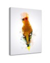 Canvas prints for a child's room Orange woodpecker bird | FEEBY