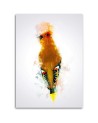 Canvas prints for a child's room Orange woodpecker bird | FEEBY