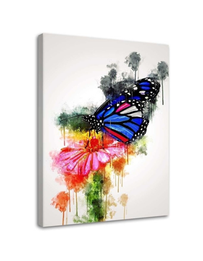 Canvas print Butterfly on a...
