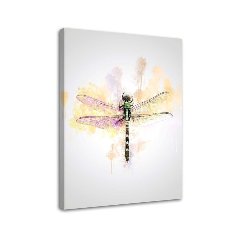 Canvas prints for house walls Dragonfly insects | FEEBY