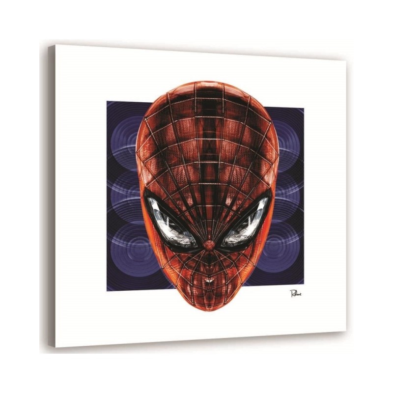 Spider-Man - canvas paintings for a teenager's room | FEEBY