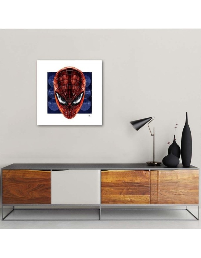 Spider-Man - canvas paintings for a teenager's room | FEEBY