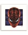 Spider-Man - canvas paintings for a teenager's room | FEEBY