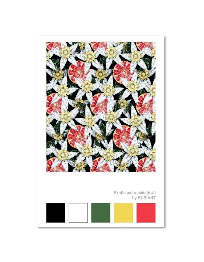 Canvas painting Grapefruit and white flowers Rubiant | FEEBY