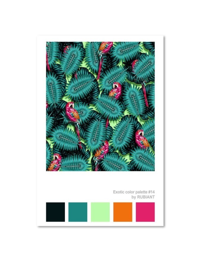 Canvas prints printed on canvas Parrots in exotic leaves | FEEBY