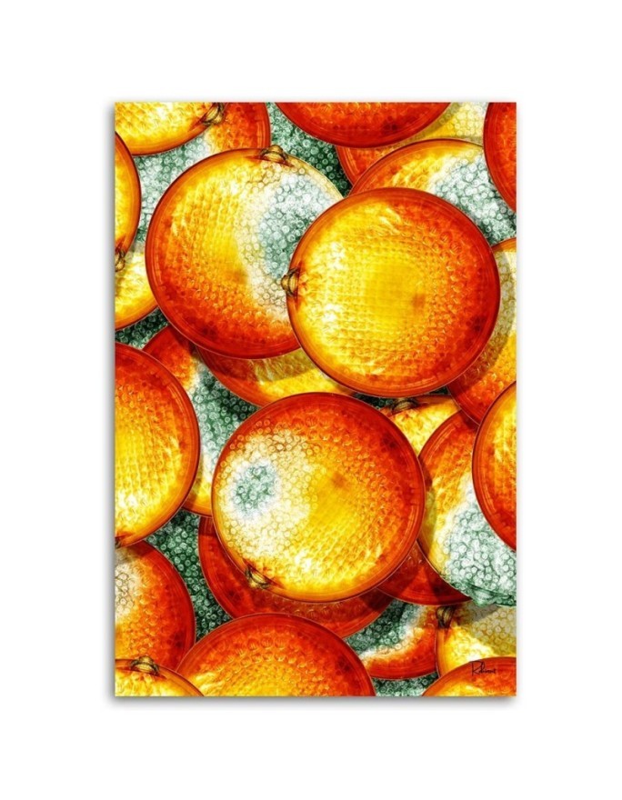 Oranges - wall art paintings for kitchen, restaurant | FEEBY