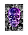 Paintings Canvas for teenagers - Purple skull Rubiant | FEEBY