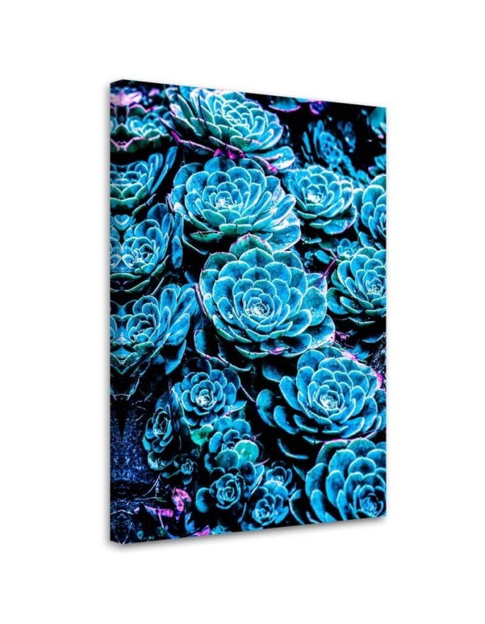 Canvas print Blue succulents Gab Fernando | FEEBY
