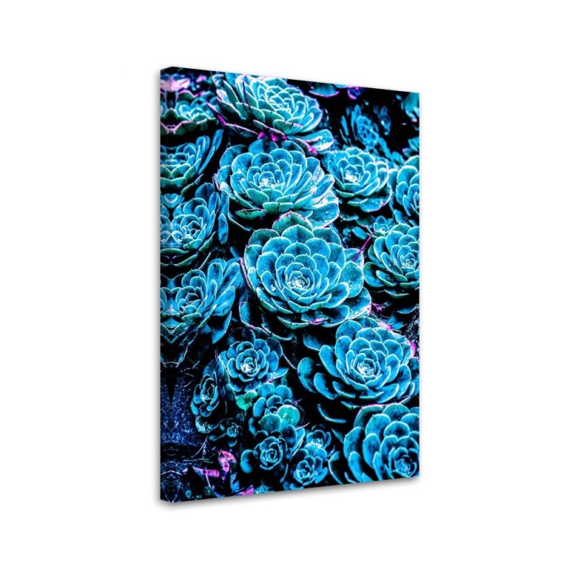 Canvas print Blue succulents Gab Fernando | FEEBY