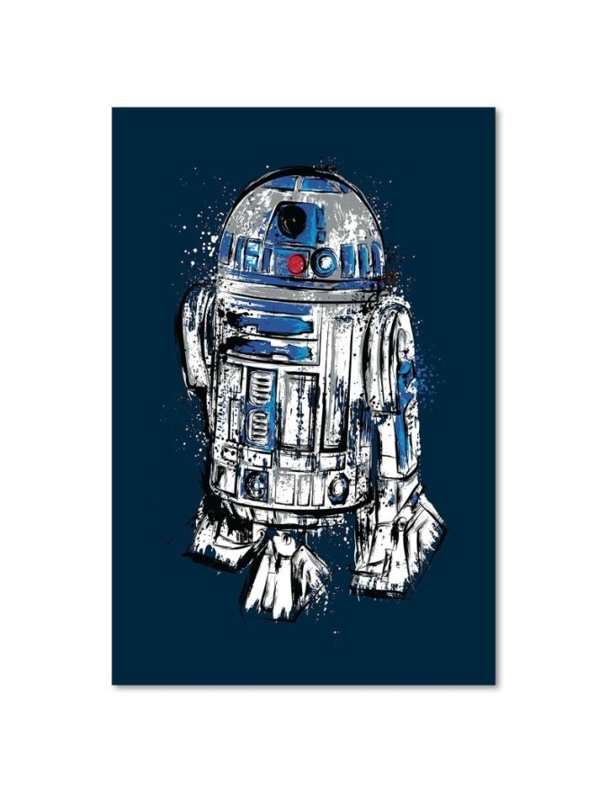 Canvas prints Star Wars - for a teenager's room for the wall | FEEBY