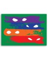Paintings Canvas for boy's room Zorro masks colourful Dr.Monekers | FEEBY