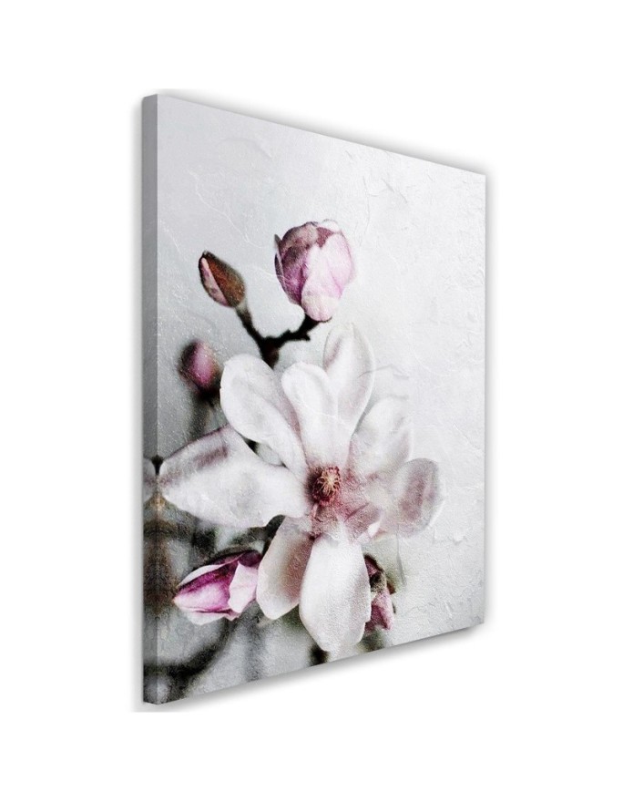 Canvas prints for living room, dining room - White magnolia flower Dmitry Belov | FEEBY