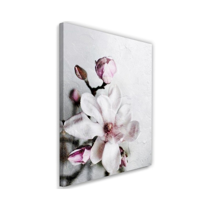Canvas prints for living room, dining room - White magnolia flower Dmitry Belov | FEEBY