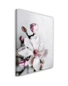 Canvas prints for living room, dining room - White magnolia flower Dmitry Belov | FEEBY