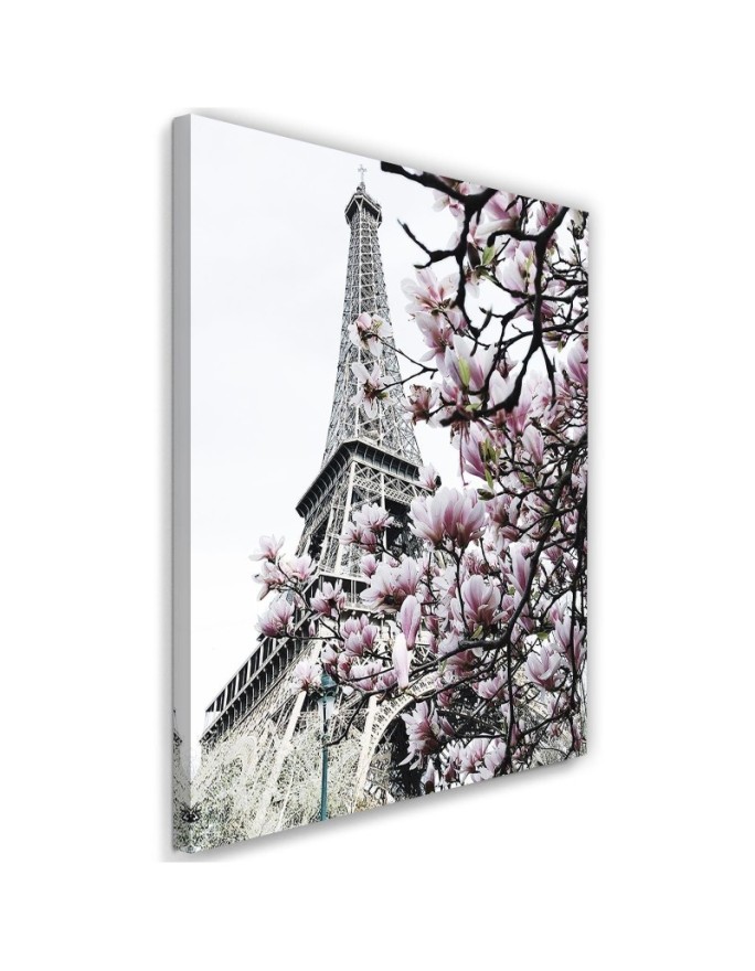 Canvas print Paris Eiffel...