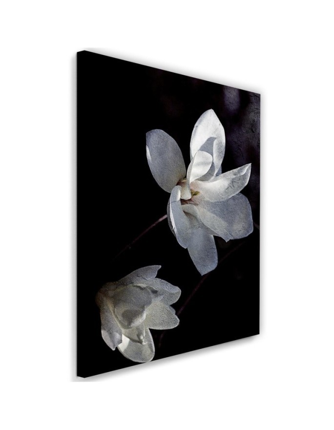 Modern wall painting Flower of a blooming tree | FEEBY